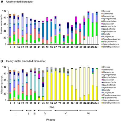 Changes in the bacterial and microeukaryotic communities in the bioreactor upon increasing heavy metal concentrations